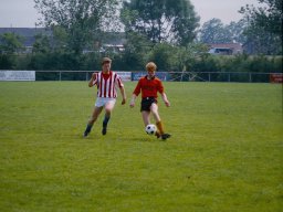 0DIA 1984 RAVA B1